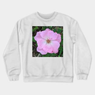 Light Pink Delicate Flower Photographic Image Crewneck Sweatshirt